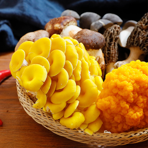 云南特产蔬菜种