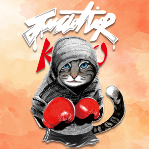 新款拳击猫