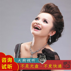 吴碧霞 你来了 伴奏 高品质 制作版 纯伴奏 超清