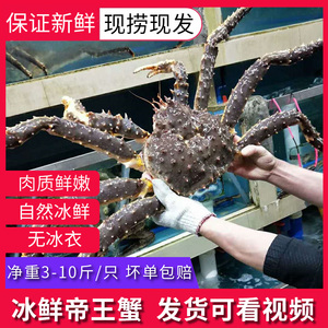 阿拉斯加帝王蟹海鲜水产鲜活冰鲜5斤长脚蟹超特大帝皇蟹蜘蛛螃蟹