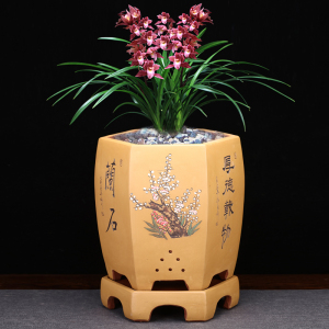 【墨兰花盆大号】墨兰花盆大号品牌,价格 - 阿里巴巴