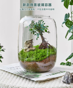 大肚玻璃花瓶加厚加宽透明玻璃缸生态瓶室内盆景多肉苔藓养殖容器