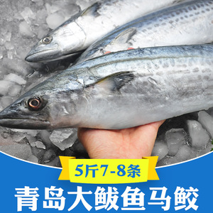 5斤青岛大鲅鱼新鲜活鲐鲅鱼马鲛鱼整条冷冻青花鱼马友鱼海鲜海鱼