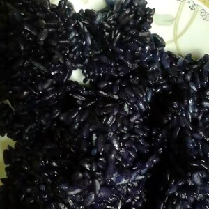 贵州特产农家黑米饭即食乌米饭乌树叶饭南烛叶饭姊妹饭2斤装包邮