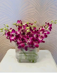 紫色洋兰云南优选鲜切花昆明基地直发家用插花节日花束