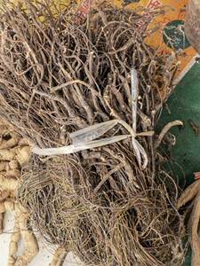 小叶鸡骨草条带叶带茎带根整棵光滑不长毛黑根煲汤料500克干品