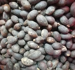 620人付款淘宝老人