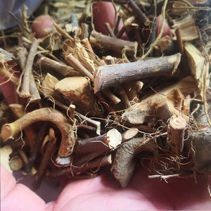 正品潮汕牛铃树根牛奶子根500g中草药纯天然琴叶榕甜棒子新晒干品