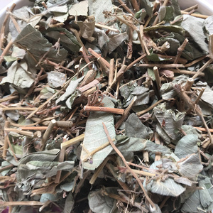 野生新鲜大叶金钱草干货天然广金钱草泡水排溶石茶中草药500g包邮