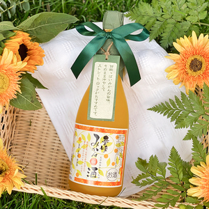 【人气伴手礼】日本进口爱媛蜜柑酒橘子酒 酸甜可口 女士低度果酒