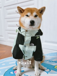 Nick财潮牌防风防雨柴犬柯基比熊雪拉瑞宠物外套狗狗衣服冲锋衣