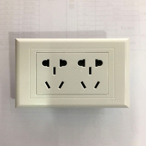 正泰电工 开关插座 new5g 118二位二插 十孔插座 二多功能插