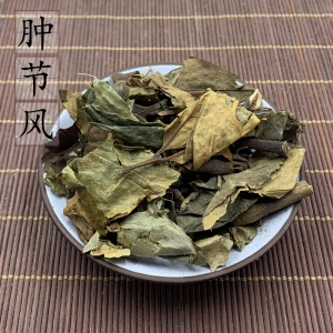 九节风中药材