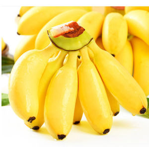 芭蕉水果整箱10斤酸甜牛蕉牛角蕉巴焦大蕉土芭蕉巴蕉非米蕉10人付款