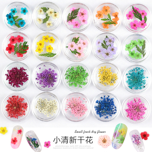 ashenxhni13淘宝美甲贴纸立体指甲贴花贴片晕染3d花朵干花光疗指甲