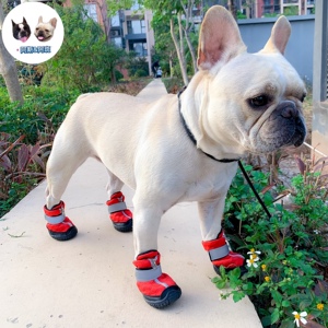 大狗狗棉鞋冬季加厚防滑保暖法斗英斗萨摩耶宠物狗中型犬红色鞋子