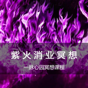 紫火冥想改运灵气紫火清理点化负能量业力清理疗愈冥想课程神器