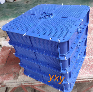 新型海水养殖箱防逃防咬养殖青蟹大闸蟹梭子龙虾(青蟹养殖箱)