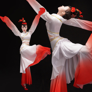 水袖舞蹈服装飘逸淡雅中国风甩袖水秀汉服古典舞惊鸿舞演出服女