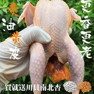 老鹧鸪鸟肉新鲜现杀农家散养飞龙鸟鹧鸪鸡石鸡真空三只装顺丰包邮