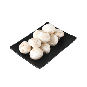 鲜蘑菇230g/份新鲜菌菇个头圆润