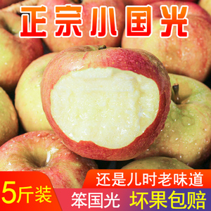 东北国光苹果特产新鲜苹果水果5斤包邮酸甜脆正宗小国光非红富士