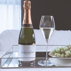 平价香槟 cava卡瓦起泡酒超高性价比西班牙原瓶进口酒店餐厅精选