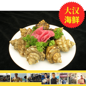 渤海湾北戴河新款热销昌黎大汉海鲜鲜活海螺苦螺海贝贝刺身香螺