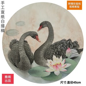 工笔国画手工熟宣白描底稿黑天鹅任意三张以上包邮送图送视频教程