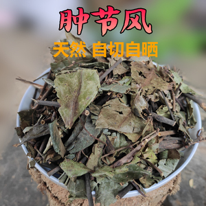 肿节风中药材500g野生草珊瑚接骨莲九节风茶无硫食用初级农产品