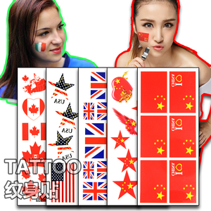 美国中国法国德国香港韩国英国澳大利亚加拿大意大利国旗纹身贴纸