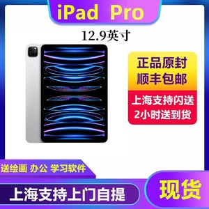 Apple/苹果 12.9 英寸 iPad Pro 11英寸 平板电脑国行正品