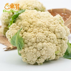 东升农场 东升有机白花菜 椰菜花广州健康蔬菜新鲜配送400g