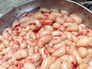 新鲜农家散养田园果园鸡鸡子鸡睾丸