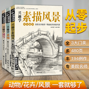 经典全集 兴趣学素描/速写/风景3本优惠套装 零基础入门 画画自学素描入门教材 绘画步骤详细一步一画 素描临摹画册书籍杨建飞主编