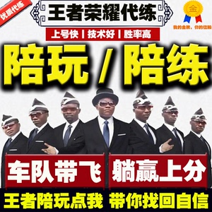 王者荣耀代练排位陪玩带打上分送价格表五排车队接单游戏带飞躺赢