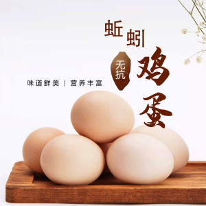 新鲜蚯蚓蛋 孕妇幼儿食用无抗无菌溏心蛋 天然营养健康 30枚60枚