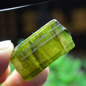 天然碧玺原石教学标本巧色绿碧玺包白碧玺喜马拉雅碧玺水晶宝石