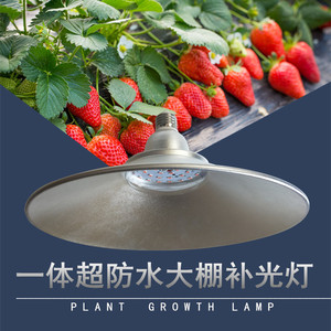 led防水草莓专用大棚补光灯全光谱植物生长灯防太阳光