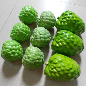 【假荔枝】假荔枝品牌,价格 - 阿里巴巴