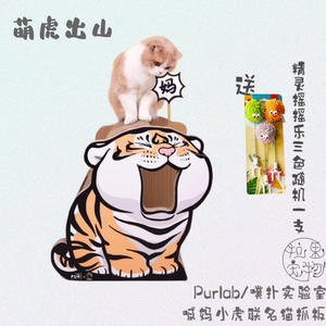 小虎猫