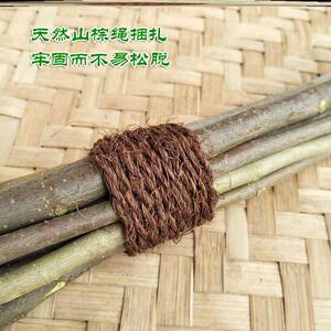 桑木枝拍痧棒桑木棒棒桑木桑桑木桑拍打棒枝木棒桑枝桑枝经枝络棒