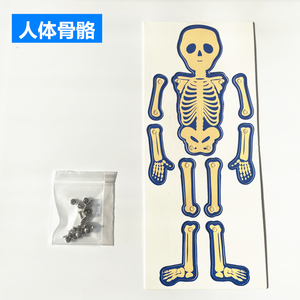 小制作实验幼儿园学生手工diy认知人体骨骼卡纸拼图科学实验材料