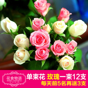 冷美人玫瑰鲜花