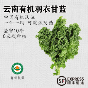 有机新鲜蔬菜羽衣甘蓝榨汁沙拉低卡云南当季现采现发健身轻食顺丰