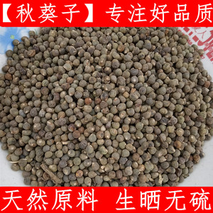 秋葵子 中药材秋葵籽 黄蜀秋葵子无杂质500克包邮新鲜干货纯净