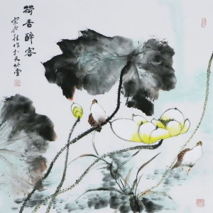 名家 宋雨桂 风格【9】写意花鸟 国画 荷花小鸟 手绘 四尺斗方