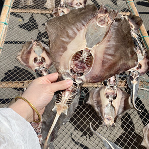 温州特产自然晒干魔鬼鱼无添加淡干鳐鱼浦鱼干明太鱼干凉拌菜冷盘