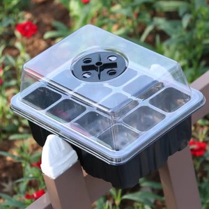 12孔透气育苗盒三件套植物培养扦插播种盆保湿温盒子育苗盘穴盘