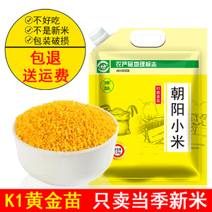朝阳K1黄金苗黄小米新米粗杂粮农家东北特产月子粥小米粥米油浓厚